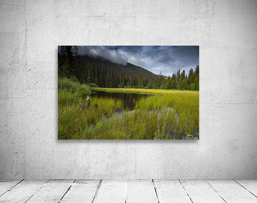 E.C Manning Provincial park British Columbia Wall Preview