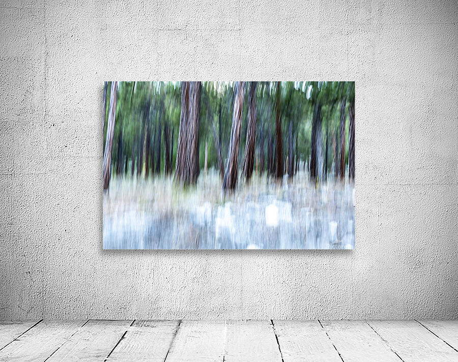 ICM forest Monck Park Nicola Valley B.C Wall Preview