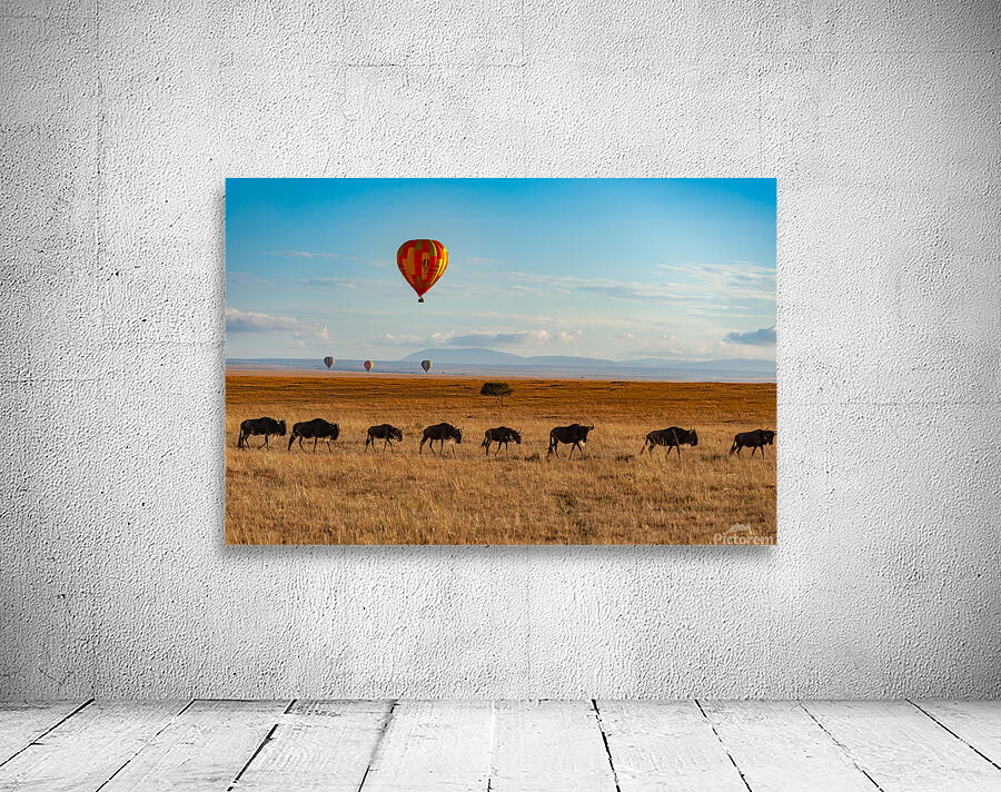 Masai Mara Wall Preview