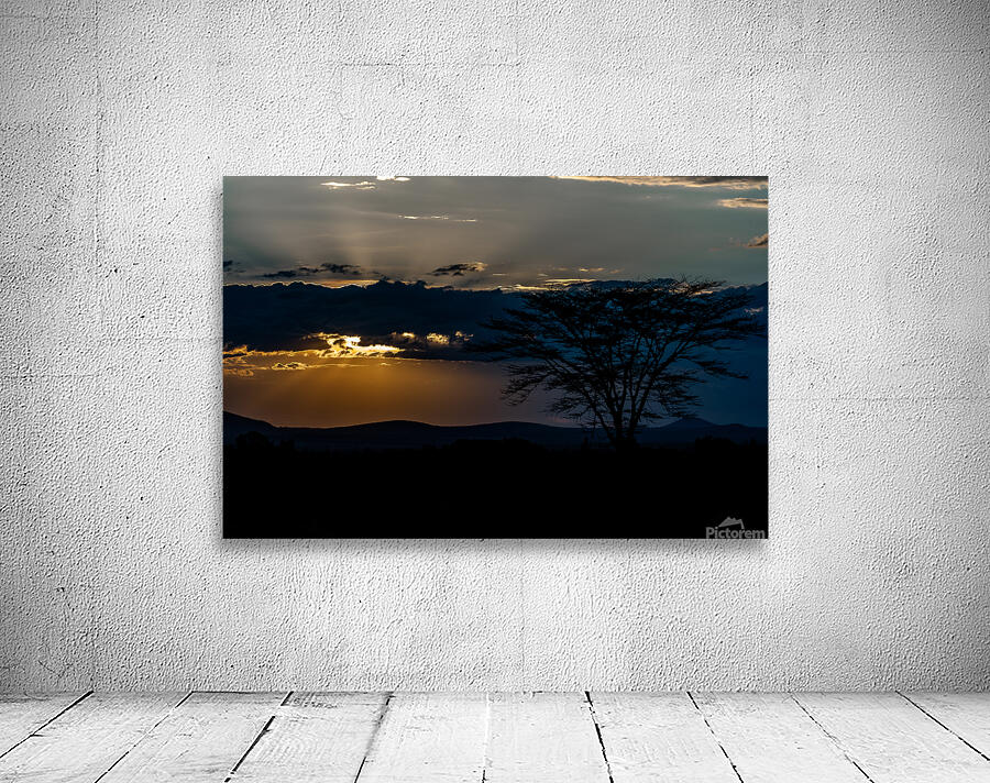 Sweetwaters game reserve Kenya africa Wall Preview