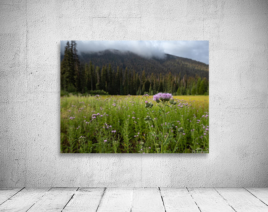 E.C Manning Provincial Park British Columbia Wall Preview