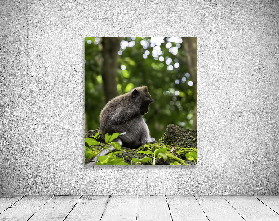 Monkey Forest Bali Wall Preview