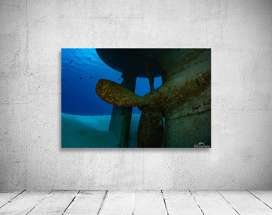 USS Kittiwake Grand Cayman Islands Wall Preview