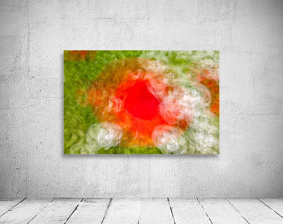 ICM of poppys Monets  Gardens Kotchi Japan Wall Preview