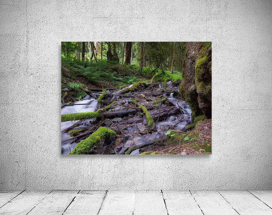 Bridal falls British Columbia creek 2 Wall Preview