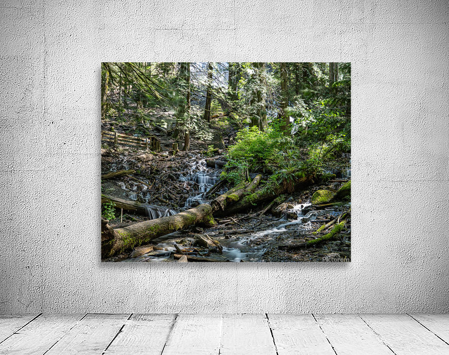 Stream at Bridal Falls Wall Preview