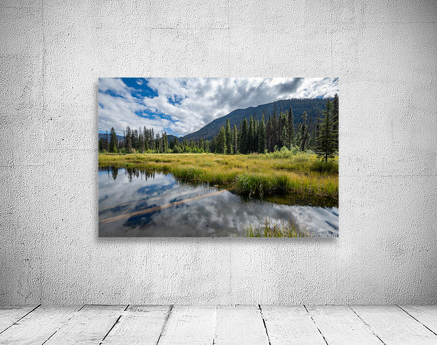 Beaver Pond E.C Manning Provincial Park British Columbia Wall Preview