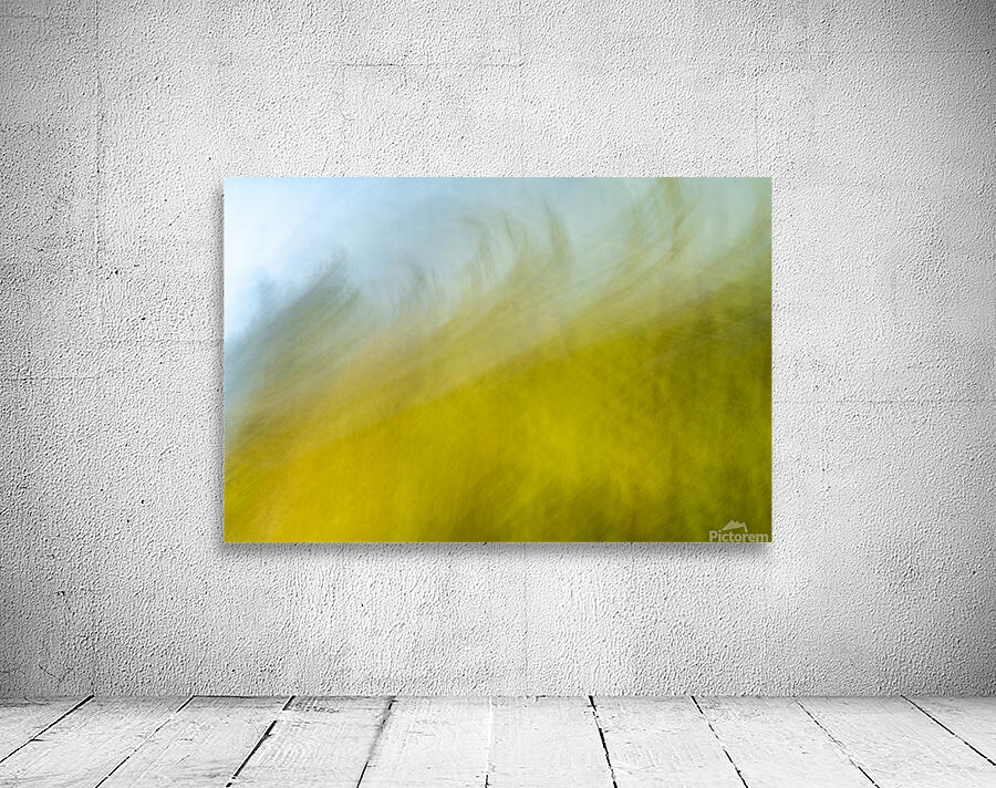 On the lake bog Houston trail Fort Langley British Columbia Canada 2 Wall Preview