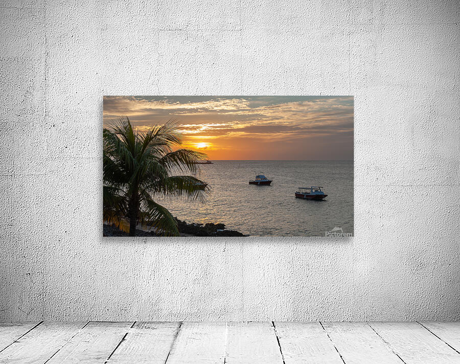 Grand Cayman Island Wall Preview