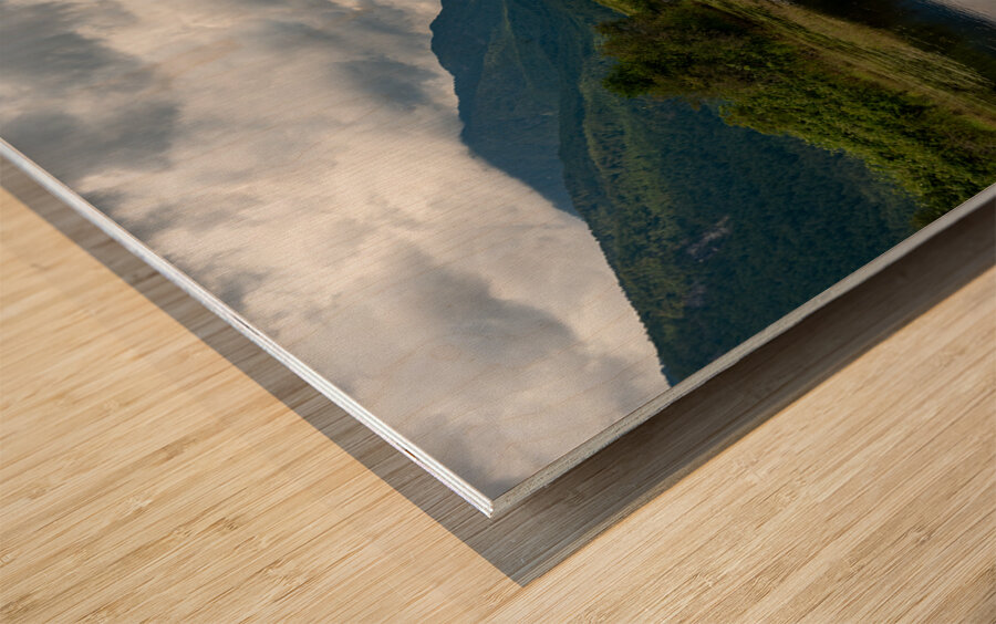 Heron cove Pitt lake B.C Wood print