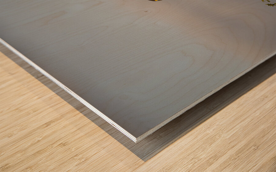 Hawk Lake Nakuru kenya Wood print