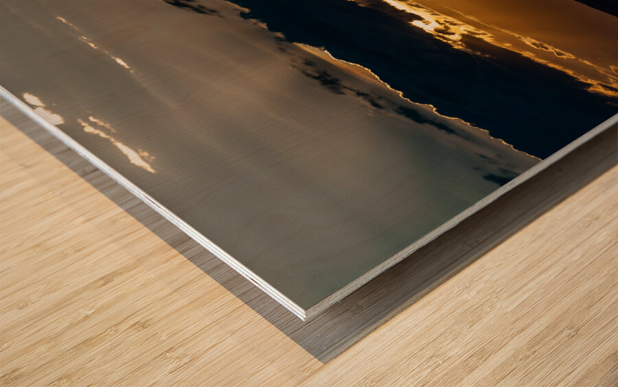 Sweetwaters game reserve Kenya africa Wood print