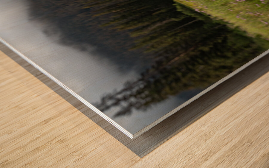 E.C Manning Provincial Park British Columbia Impression sur bois