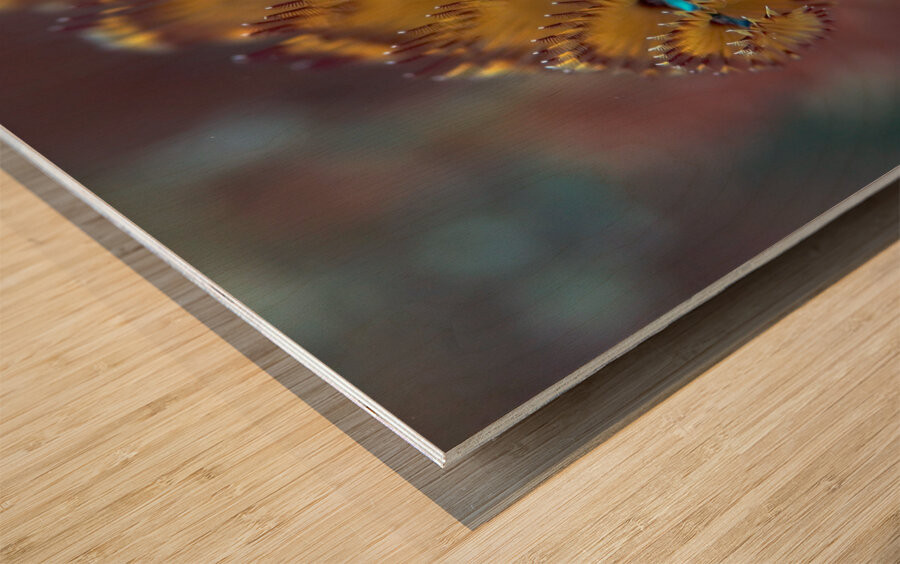 Chritmas tree worm Wood print