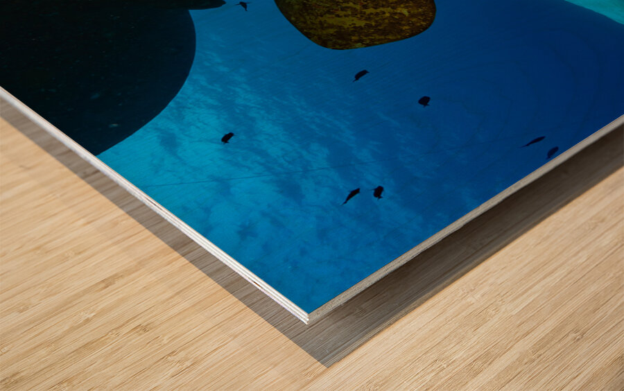 USS Kittiwake Grand Cayman Islands Wood print