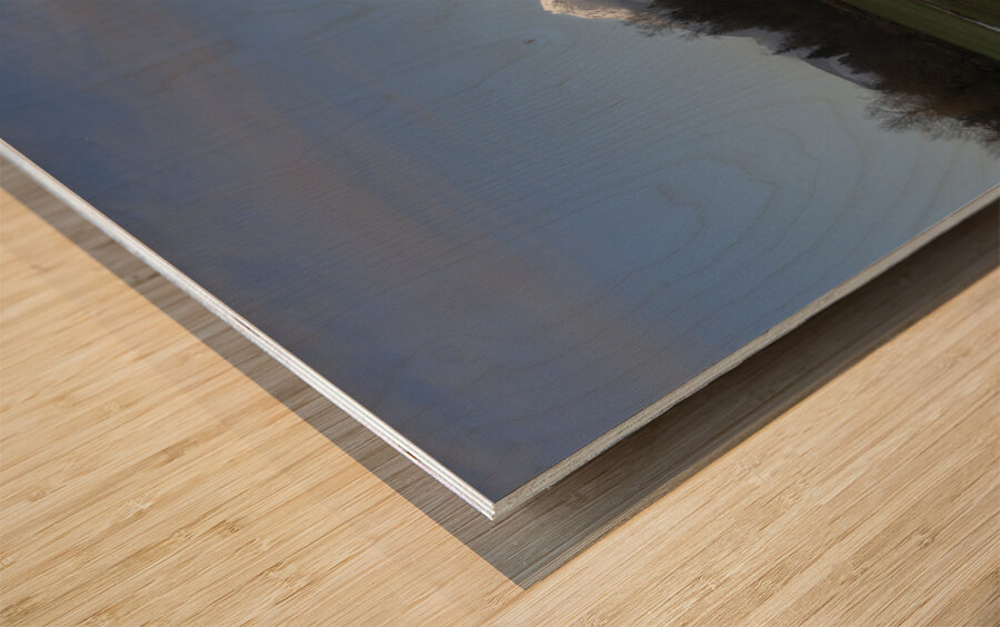 Pano Golden Ears Mountain British Columbia Wood print