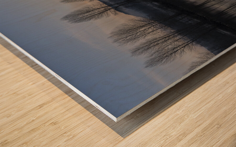 Fort Langley British Columbia Pano Wood print