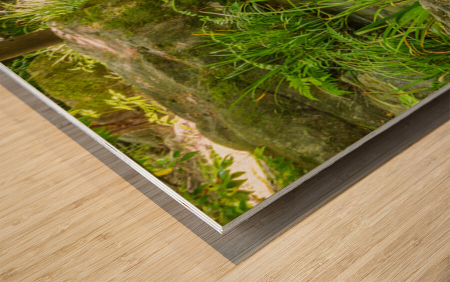 Koko-Em Gardens Kobe Japan 2 Impression sur bois