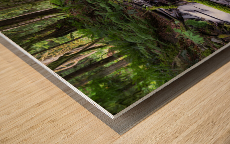 Bridal falls British Columbia creek 2 Wood print