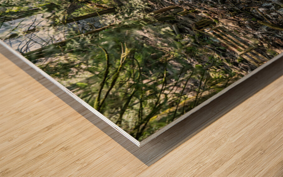 Stream at Bridal Falls Wood print