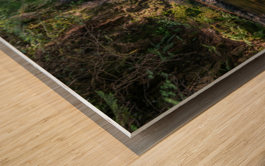 Rolley Lake falls Mission British Columbia 2 Wood print