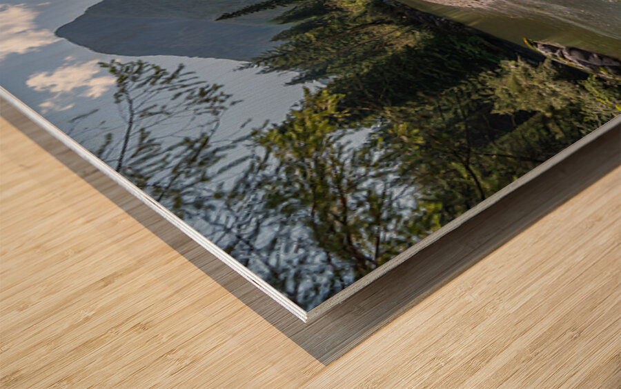 Gold Creek Golden Ears Provincial Park British Columbia Wood print