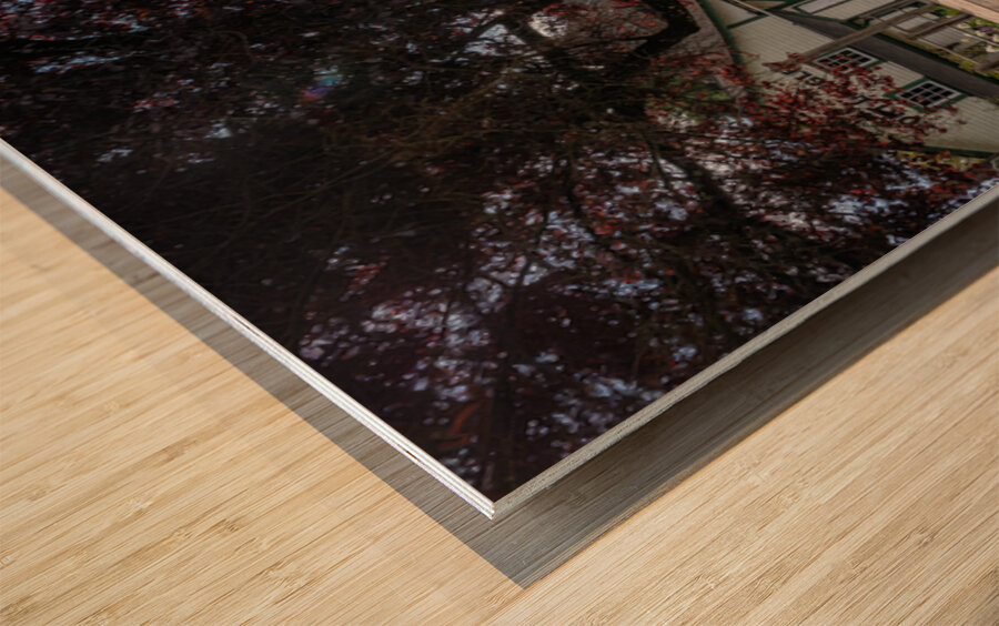 Fort Langley CN Train Station Fort Langley B.C Canada Wood print