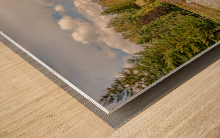 Chilliwack River British Columbia Wood print