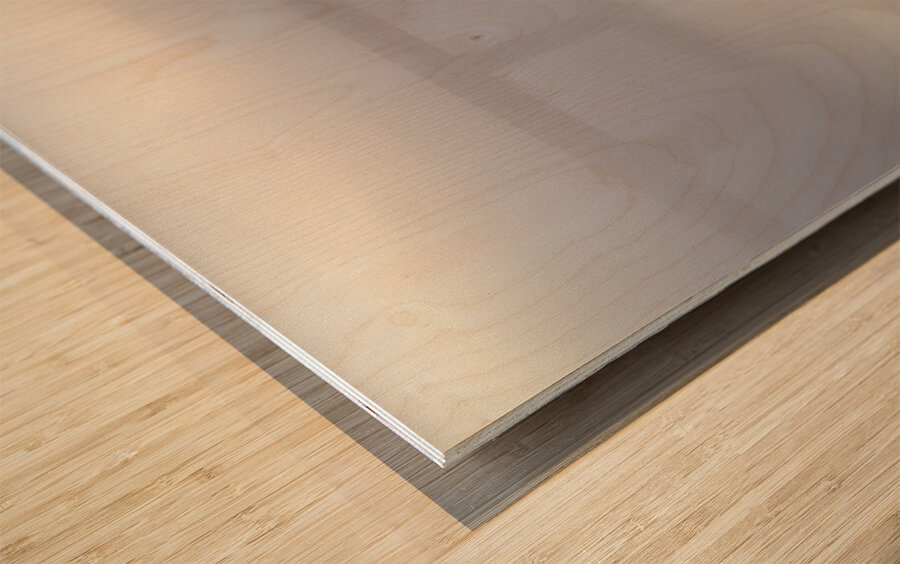 Fort Langley British Columbia Fog 2 Wood print