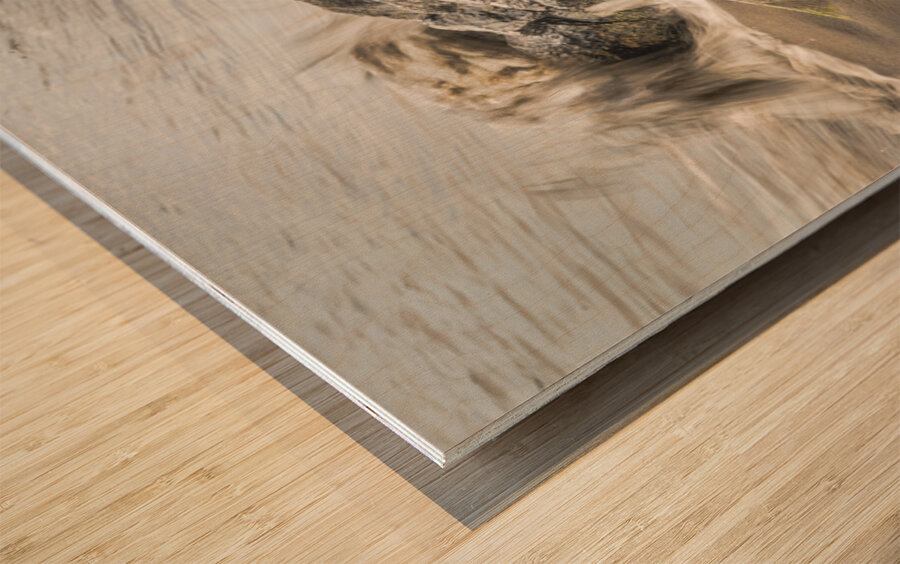 La Tahiti Peteete Tahiti 2 Wood print