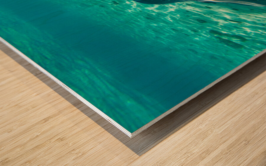 Sting rays Wood print