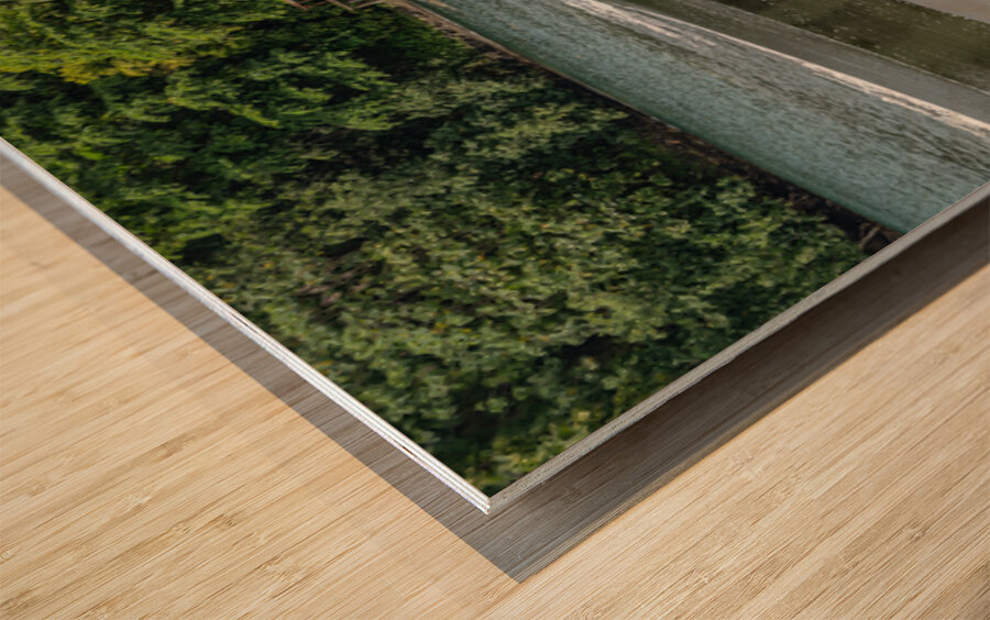 Beach at La Tahiti Pepeete Tahiti 2 Wood print