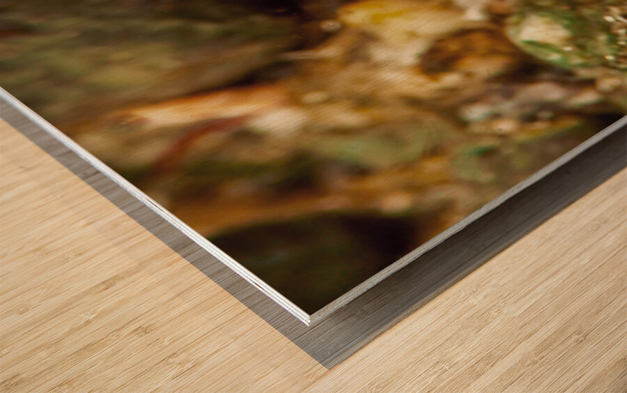 Gunnel Mukilteo Washington USA Impression sur bois