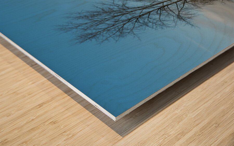 Old Farm House Glen Valley British Columbia Impression sur bois