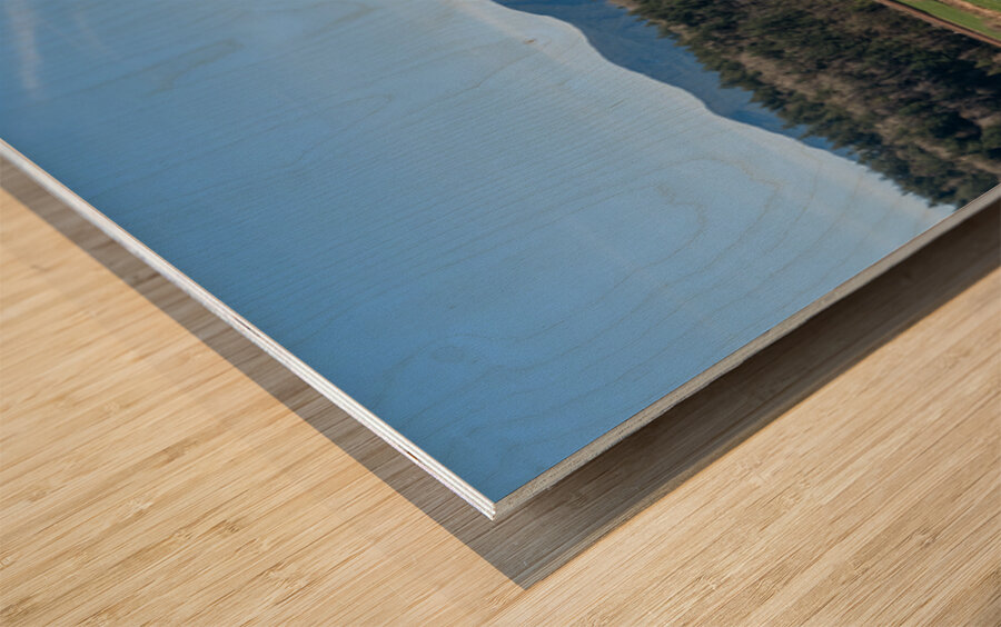 Dyke trail Agassiz British Columbia Canada Wood print