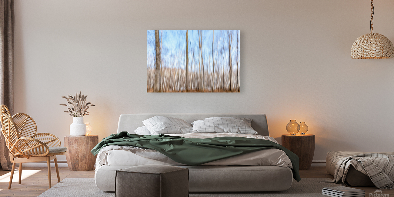 Birch Trees ICM Reproduction