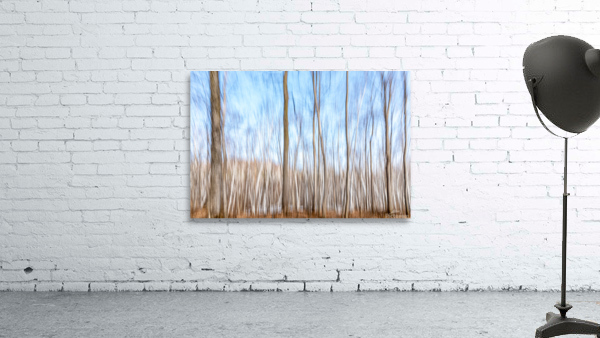 Birch Trees ICM Wall Preview