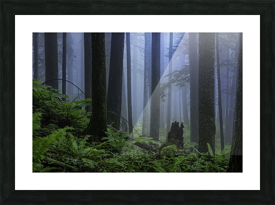 Moody Blues Picture Frame print