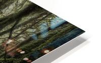 Forest Walk HD Metal print
