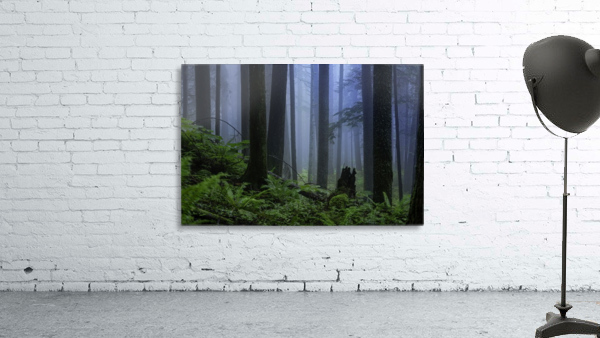 Moody Blues Wall Preview