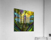 Fire Fly Flight Acrylic Print