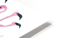 Flamingo Tango 1 HD Metal print