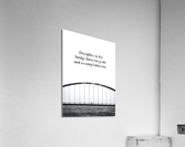 discipline bridge 3 Acrylic Print