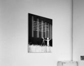 life camera 2 silver Acrylic Print