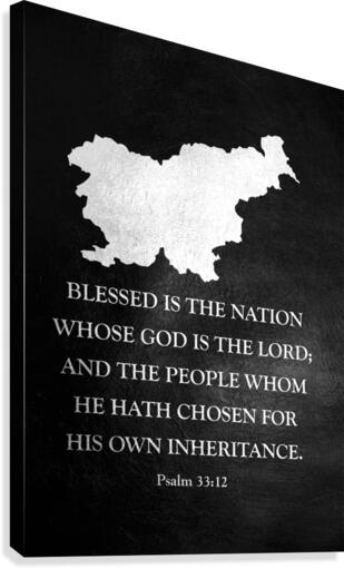slovenia silver 2 Canvas Print