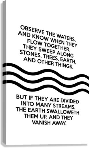 observe the waters white Canvas Print