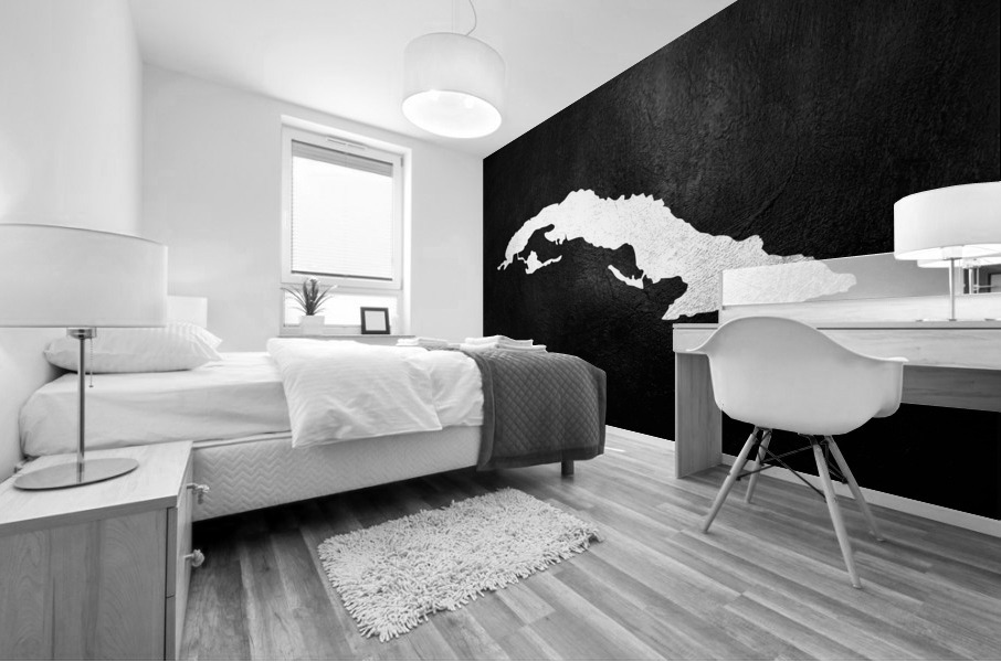 Cuba Silver Map Wall Art Mural print