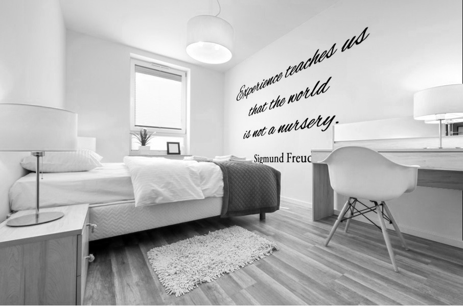 world and nursery plain Mural print
