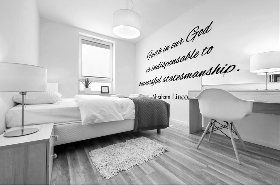 successful statesmanship Mural print