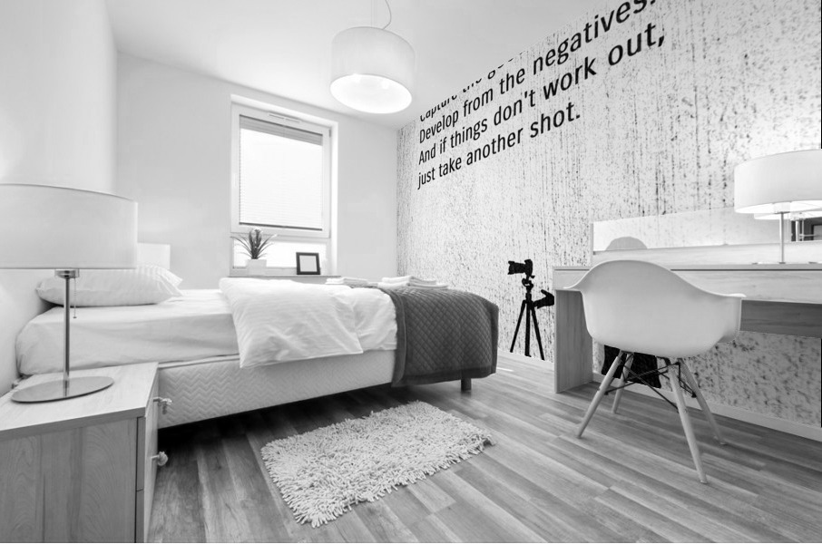 life camera 2 charcoal Mural print